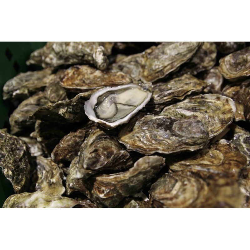 Huîtres Fines de Claires "Peponnet" (x12p)