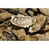 Huîtres Fines Gaboriau (x12p)