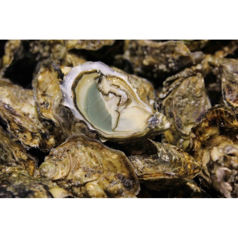 Huîtres Fines de Claires Vertes Peponnet n°3