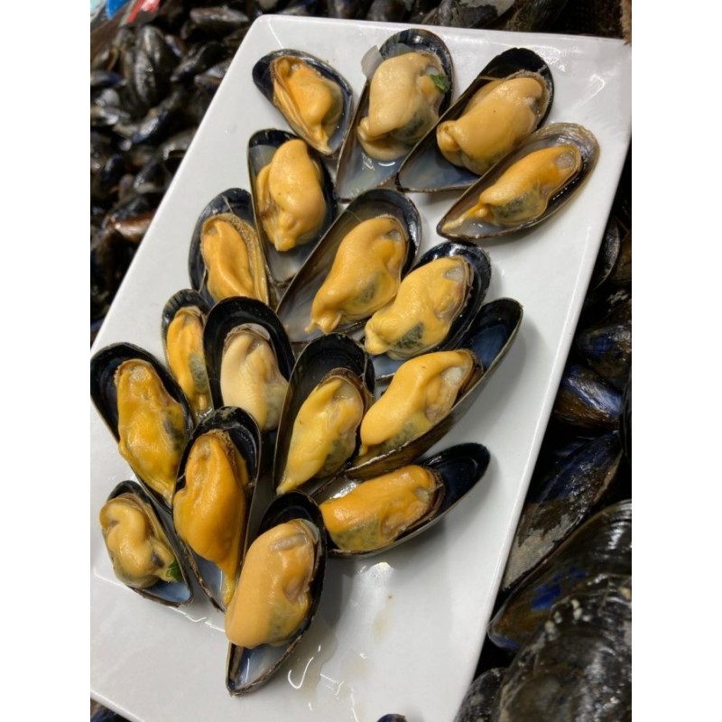 Moule Bouchot Mont St Michel