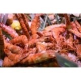 Crevettes Tropicales Tigrées