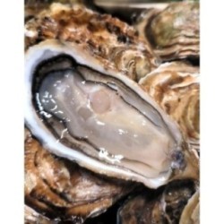 Huitres "La Celtique" n°2