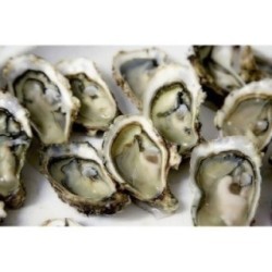 Huîtres Fines d'Arcachon N°3 (x24p)