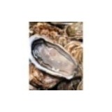 Huitres "La Celtique" n°2