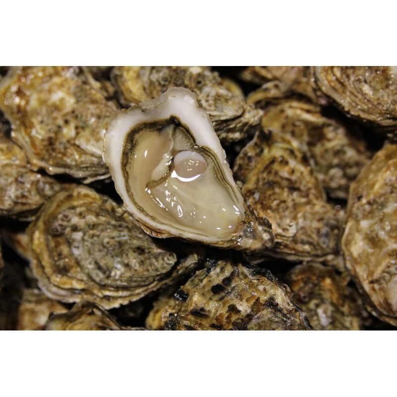 Huîtres Spéciales Isigny (x12p)