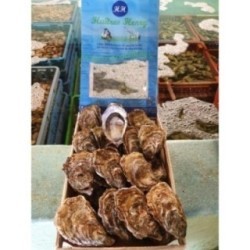 Huîtres Bio Creuses de Quiberon N°3 (x12p)