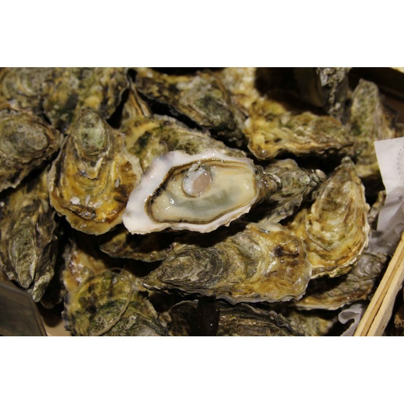 Huîtres super spéciales "Ostra Régal" Irlande x 12p