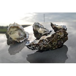 Huîtres Royales "Peponnet" N°3 (x12p)