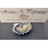 Huîtres Royales "Peponnet" N°3 (x12p)
