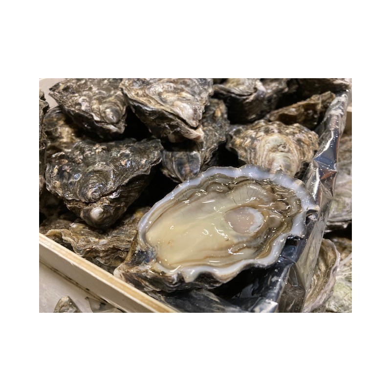 Huîtres Royales "Peponnet" N°3 (x12p)