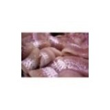 Filet de merlan x 500g