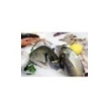 Dorade Royale Sauvage