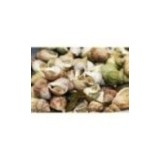 Bulot Cuit Maison Nature