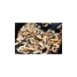 Crevettes grises Françaises x 100g