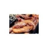 Crevettes Tropicales Tigrées XXL !!