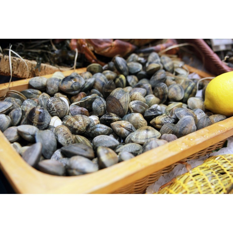 Palourdes Japonaises x 300g