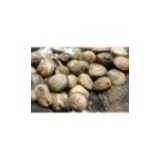 Amandes x 300g