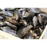 Moules d'Espagne XL x 500g