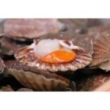 Coquilles Saint-Jacques Française x 1 kg