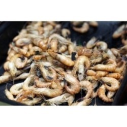 Crevettes grises Françaises x 100g