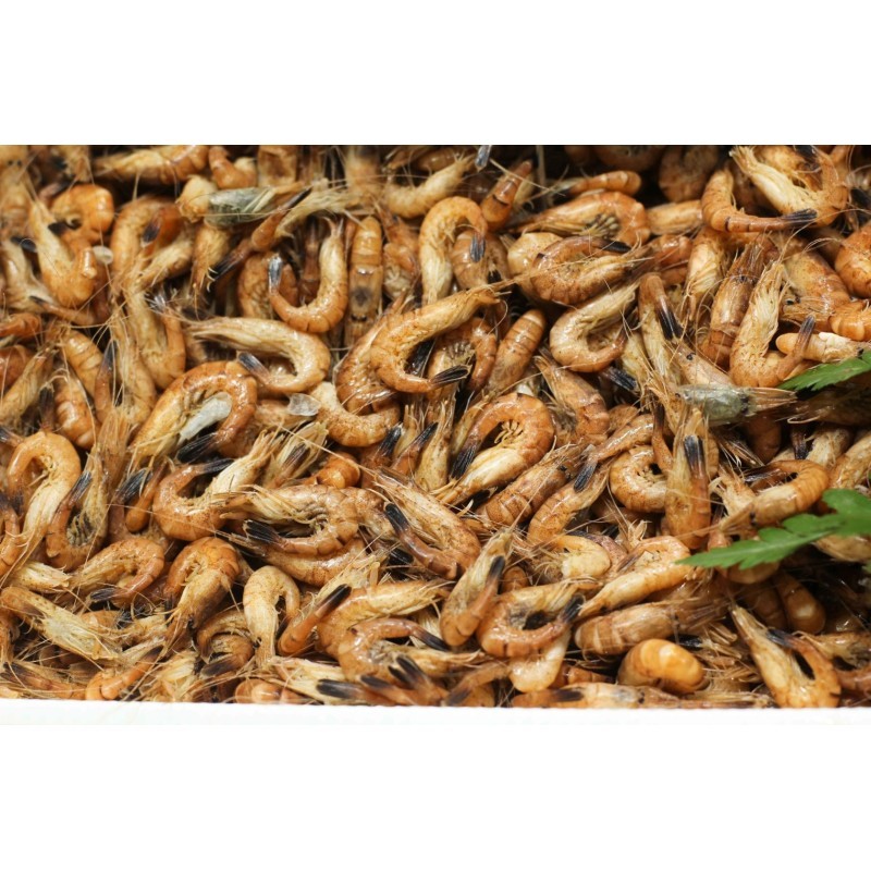 Crevettes grises Françaises x 100g