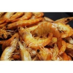 Crevette sauvage du Nigéria