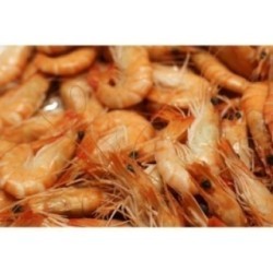 Crevettes élevage Madagascar Label Rouge