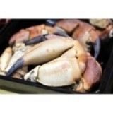 Pinces de tourteaux Grosses Cuites