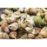 Bulot Cuit Maison Nature