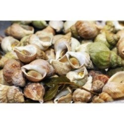 Bulot Cuit Maison Nature