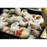 Bulot Cuit Maison Pimenté