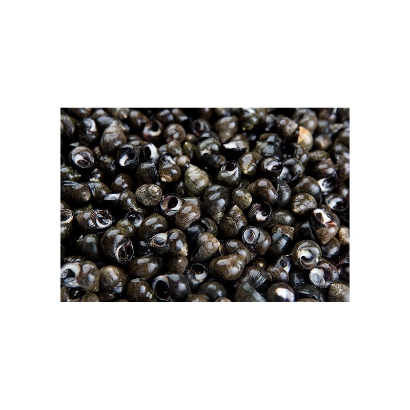 Bigorneaux Jumbo CUITS x 250g