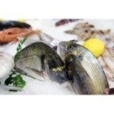 Dorade Royale Sauvage