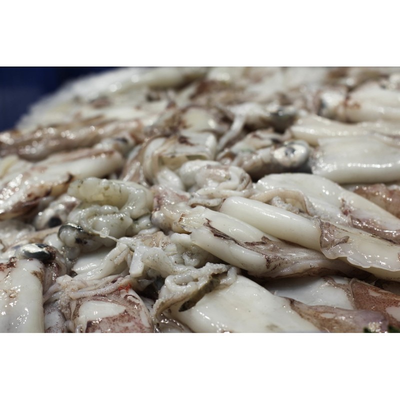 Calamars x 500g
