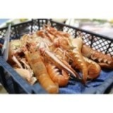 Langoustines vivantes x 500g