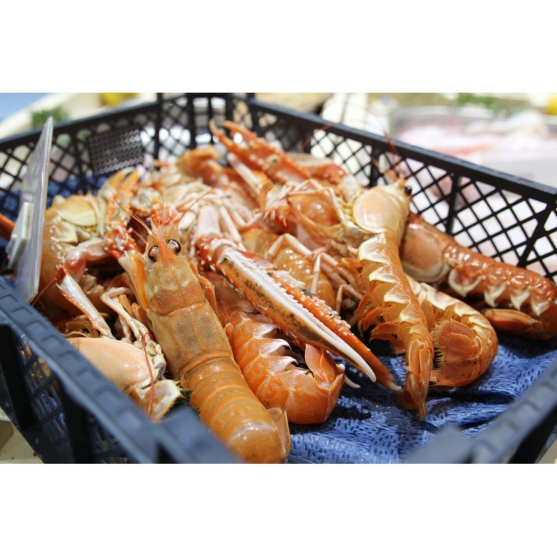 Langoustines vivantes x 500g