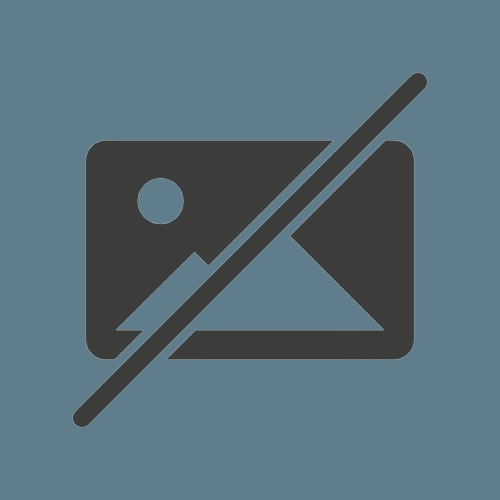 Nos plateaux de fruits de mer