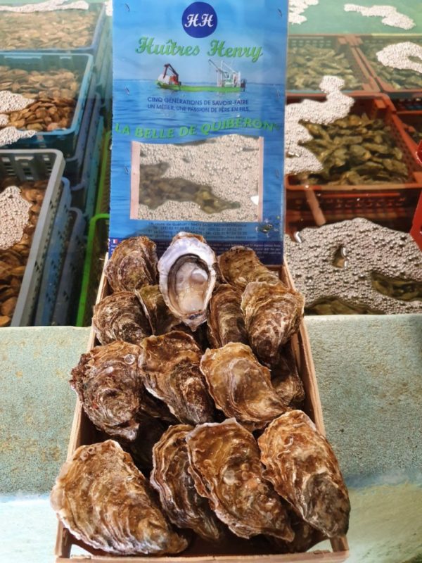 Huîtres Bio Creuses de Quiberon N°3, vente en ligne de bourriches d'huîtres - poissonnerie Morin marée Albi