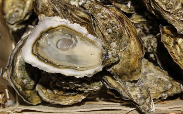 Huîtres super spéciales "Cœur d'Océan" Irlande, vente en ligne de bourriches d'huîtres - poissonnerie Morin marée Albi