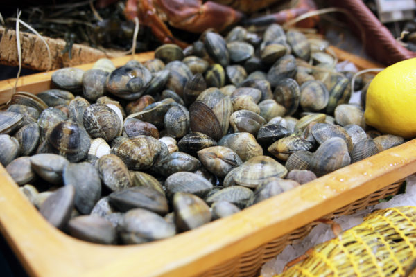 Palourdes, coquillages vivant, vente en ligne de produits de la mer et poisson frais sur Albi et environs