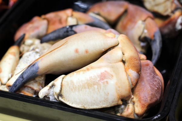 Pinces de tourteaux, vente en ligne de crustacés cuits et crus - morin marée albi