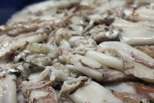 Calamars, vente en ligne de poulpes, calamars, seiche - poissonnerie albi