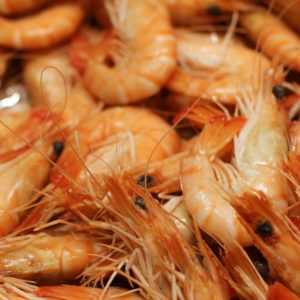Crevettes élevage Madagascar Bio, Crevettes cuites décortiquées bio de Madagascar - poissonnerie albi - vente en ligne