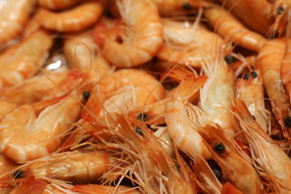 Crevettes élevage Madagascar Bio, Crevettes cuites décortiquées bio de Madagascar - poissonnerie albi - vente en ligne