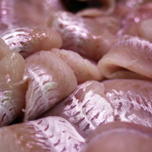 Filet de merlan, vente de poisson frais en ligne - filet de merlan pêche responsable - poissonnerie albi