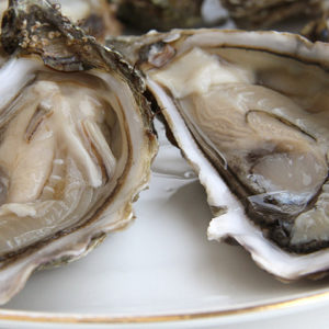 Huîtres fines de Bouzigues, vente en ligne de bourriches d'huîtres - poissonnerie Morin marée Albi