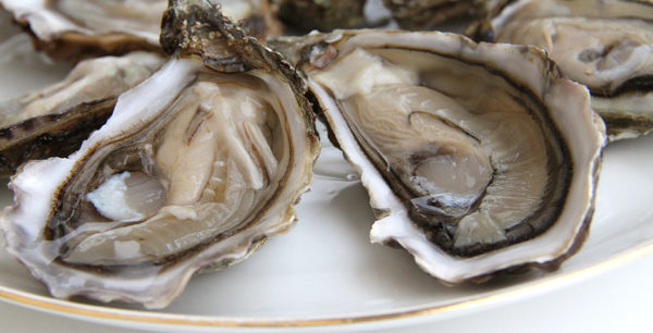 Huîtres fines de Bouzigues, vente en ligne de bourriches d'huîtres - poissonnerie Morin marée Albi