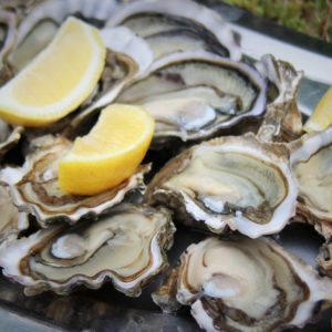 Huîtres fines de l'île de Ré n°3, vente en ligne de bourriches d'huîtres - poissonnerie Morin marée Albi