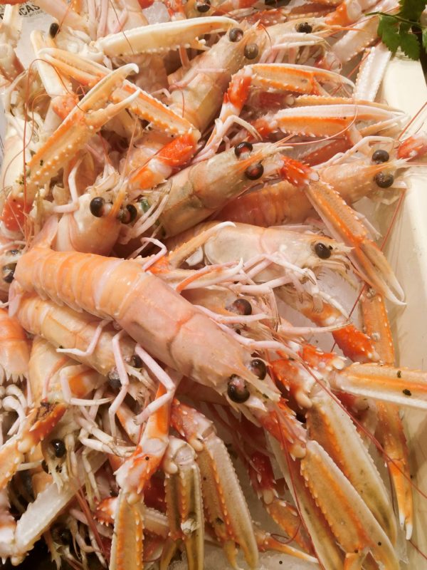 Langoustines CUITES, vente en ligne de langoustine cuites - poissonnerie morin marée albi